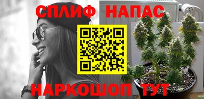 шишки Кулебаки