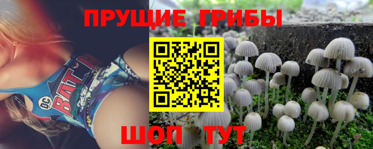 Галлюциногенные грибы прущие грибы Чебаркуль